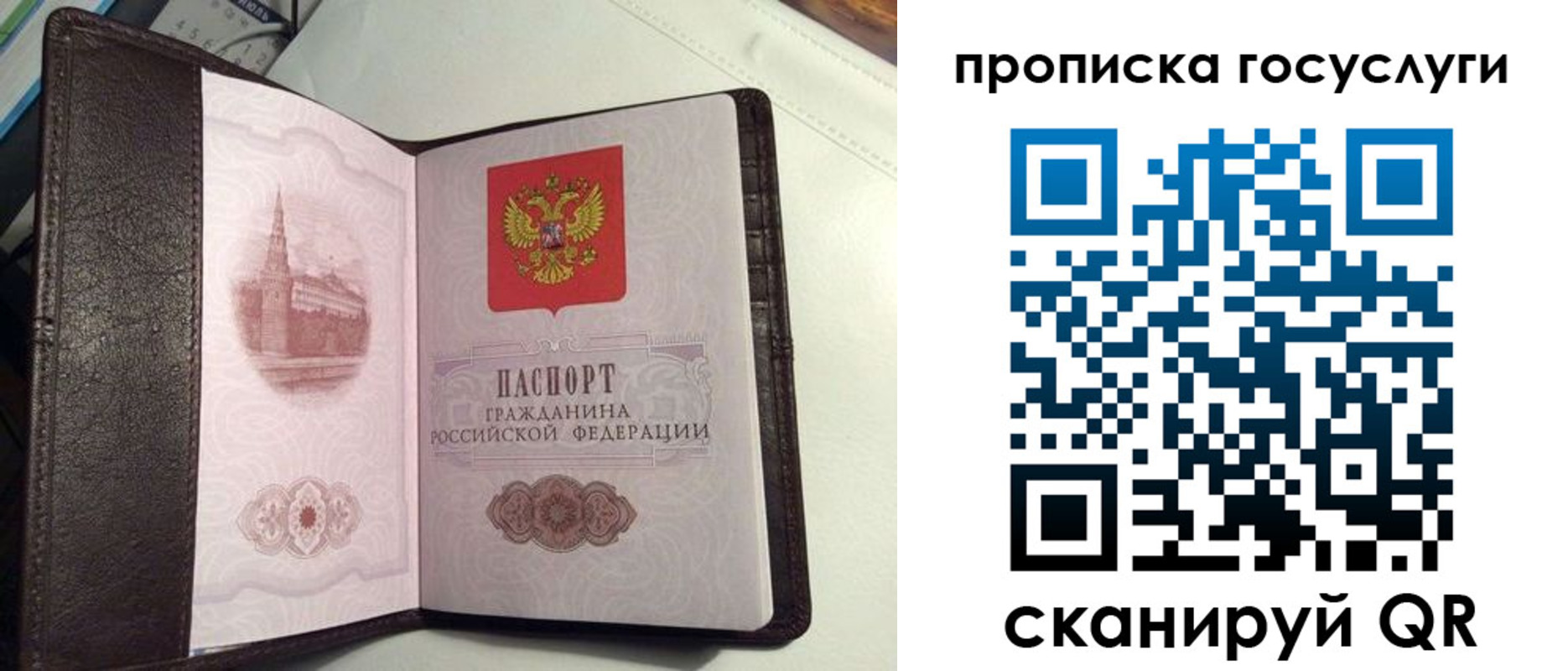 временная прописка в Коврове